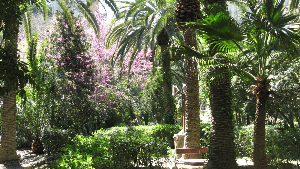Parco della struttura
