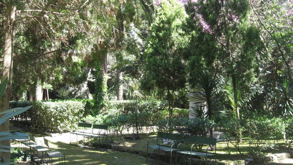 Parco della struttura