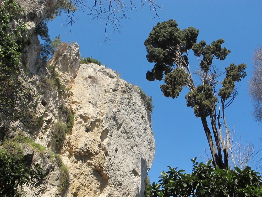Parco della struttura