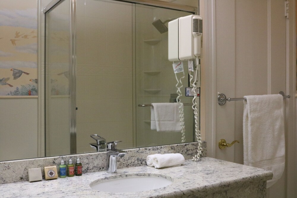 Bathroom, Cornell Hotel de France