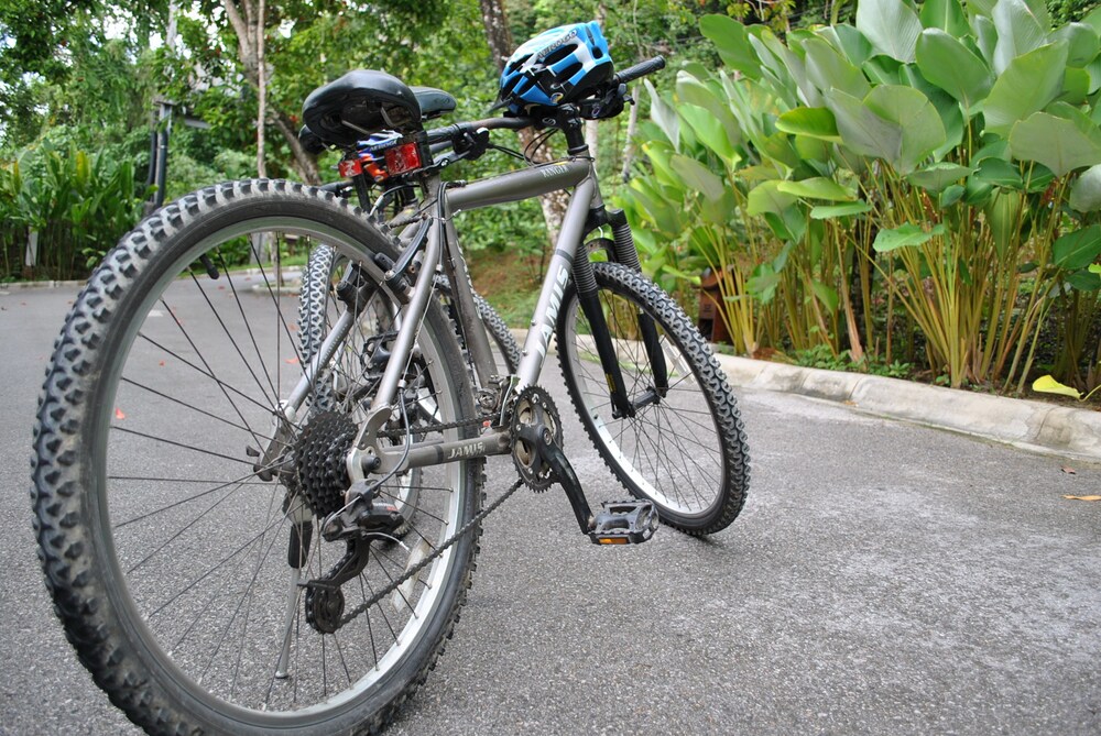Bicycling
