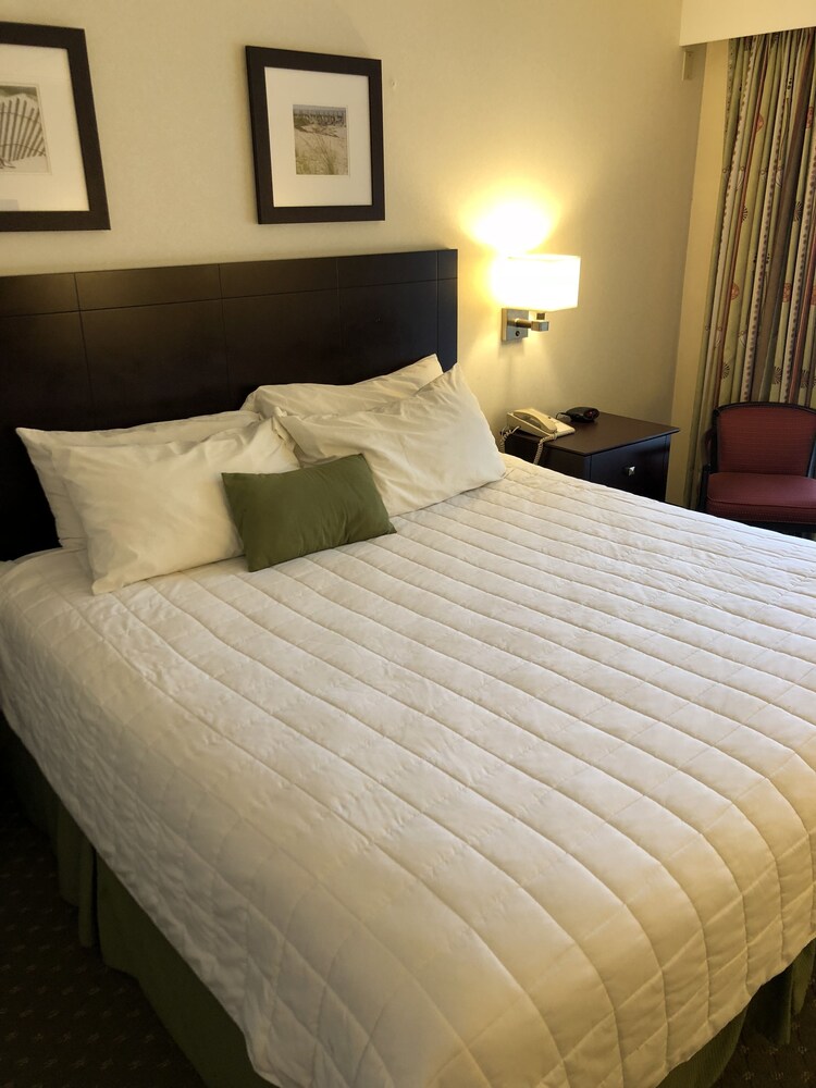 Guestroom View