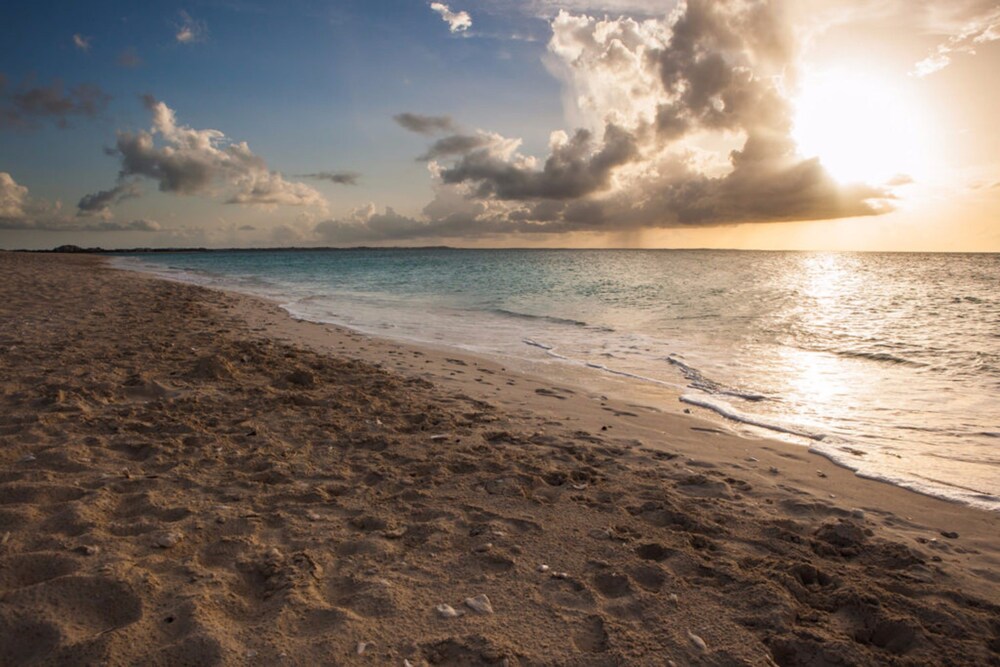 Beach/Ocean View