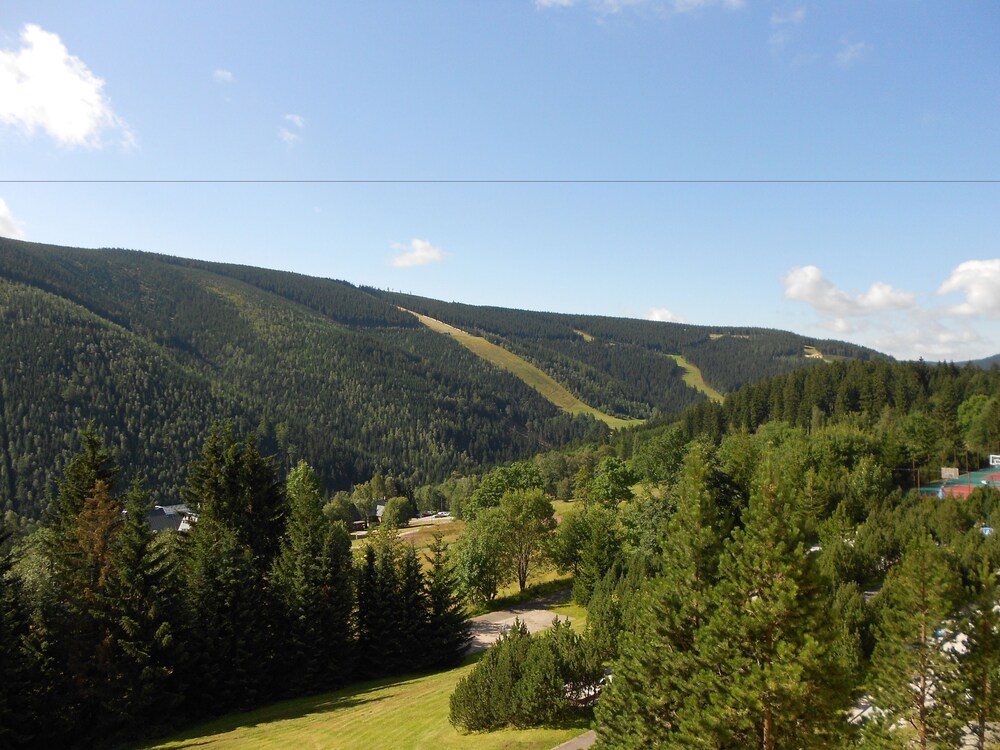 Guestroom View