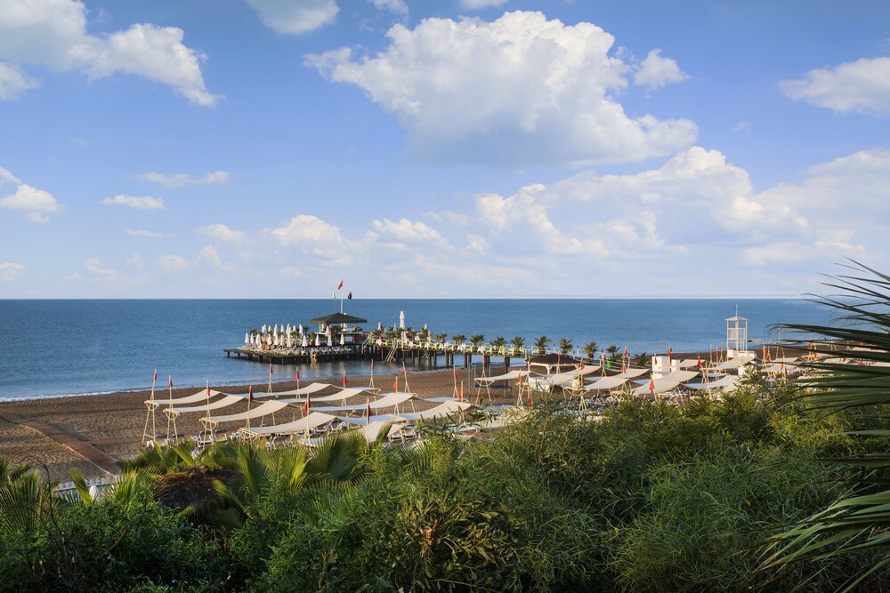 Beach/Ocean View