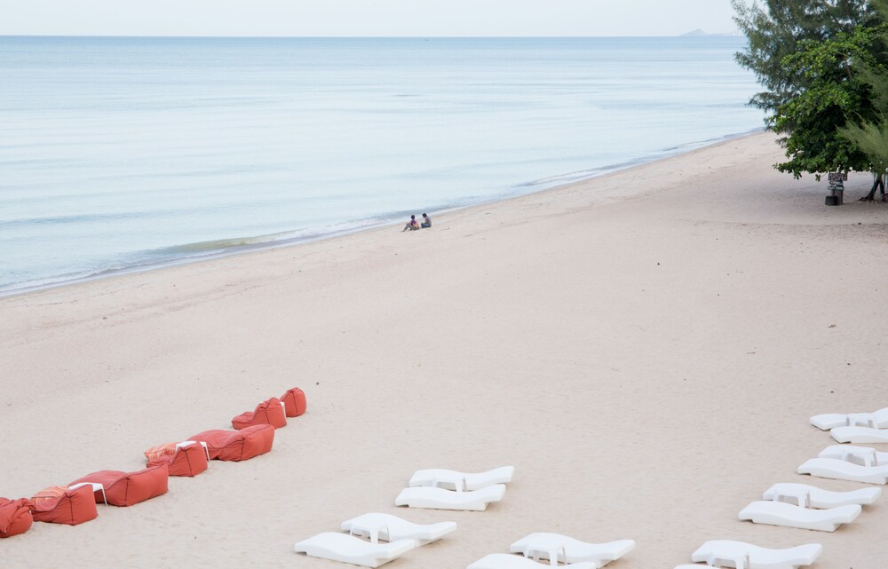 Beach/Ocean View