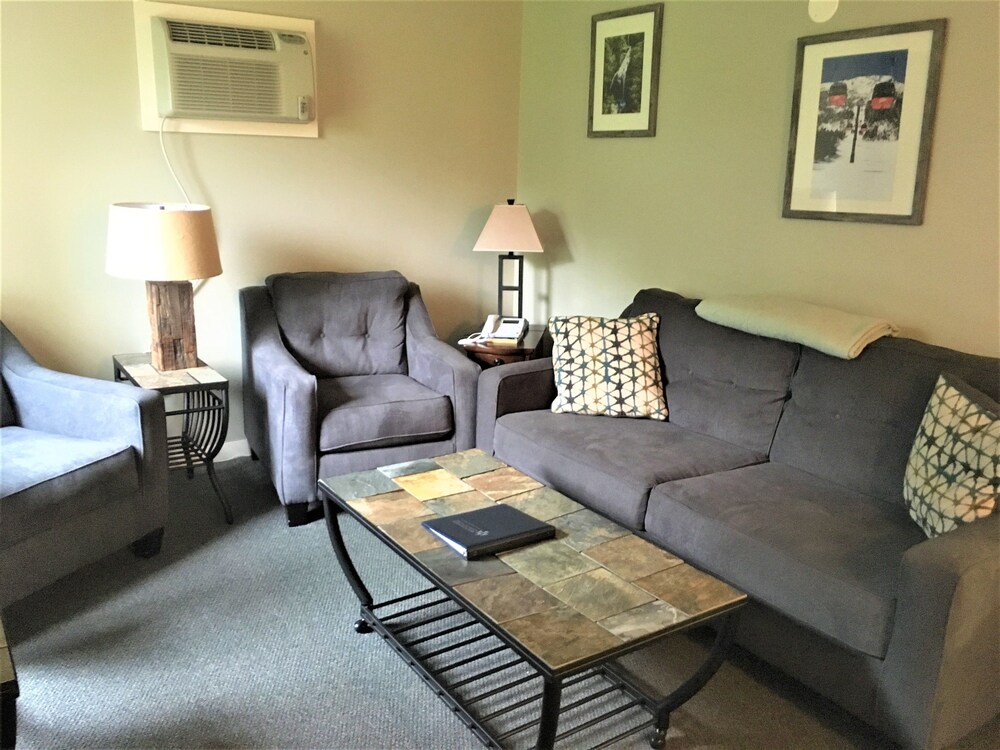 Condo, 1 Bedroom - Living Area