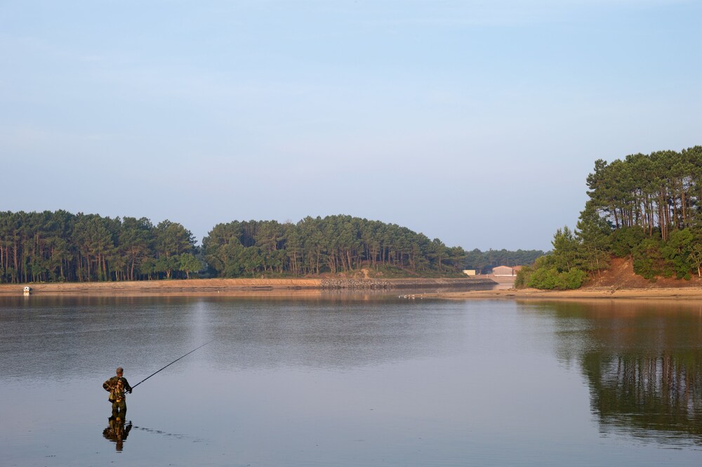 Lago