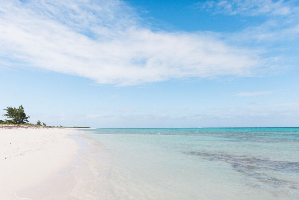 Beach/Ocean View