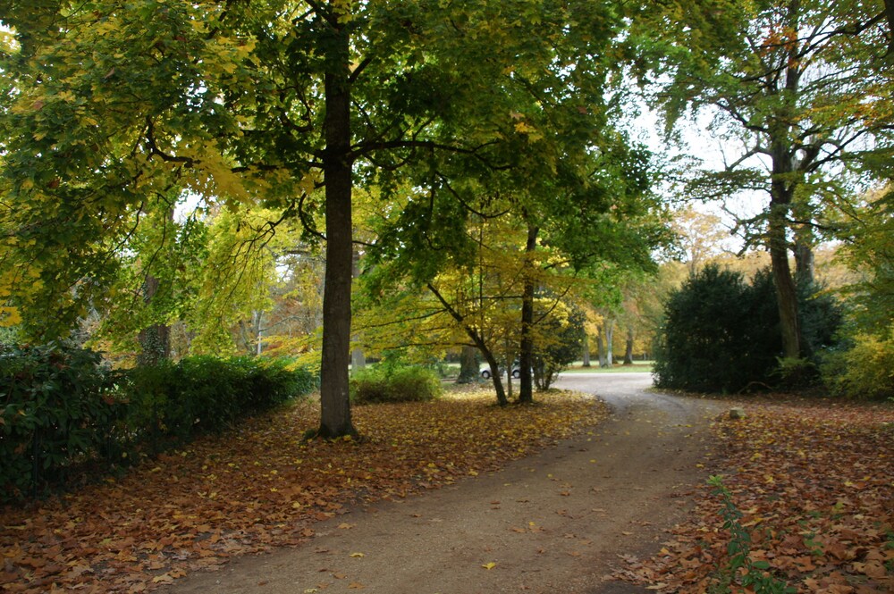 Randonnée