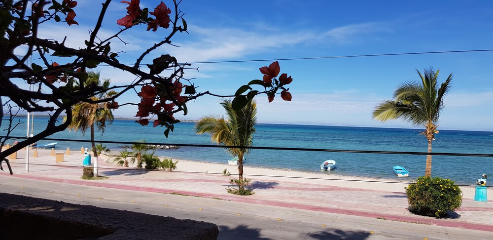 Beach/Ocean View