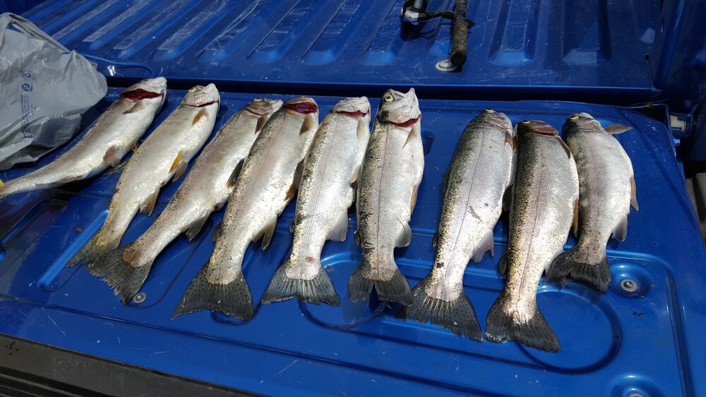 Fishing