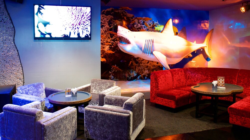 Hotel Lounge