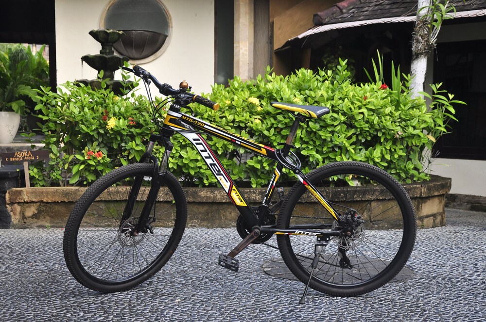 Bicycling