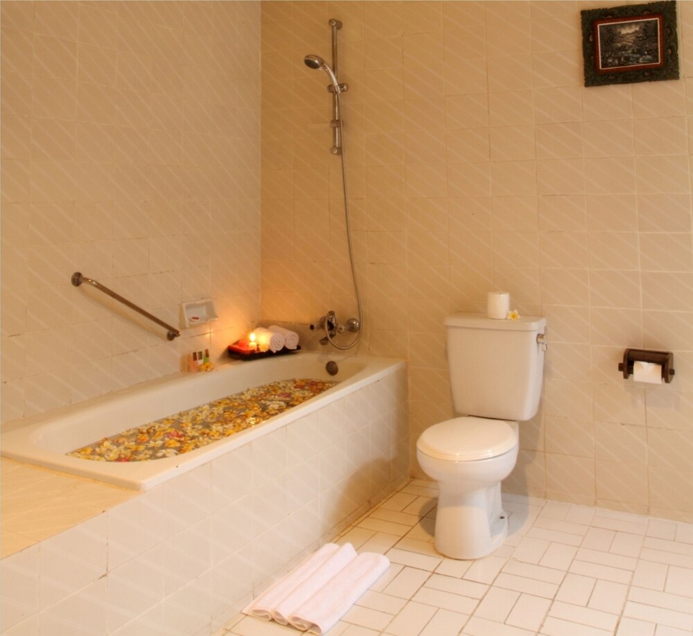 Deep Soaking Bathtub