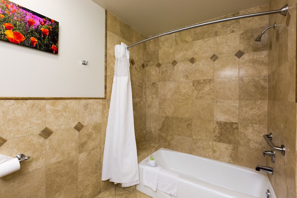 Deep Soaking Bathtub