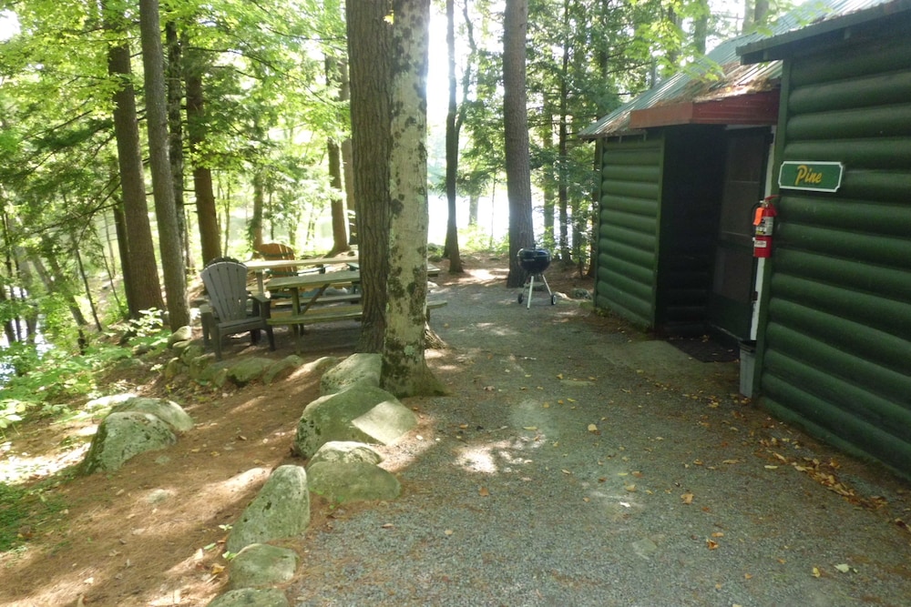 Pine - Guestroom