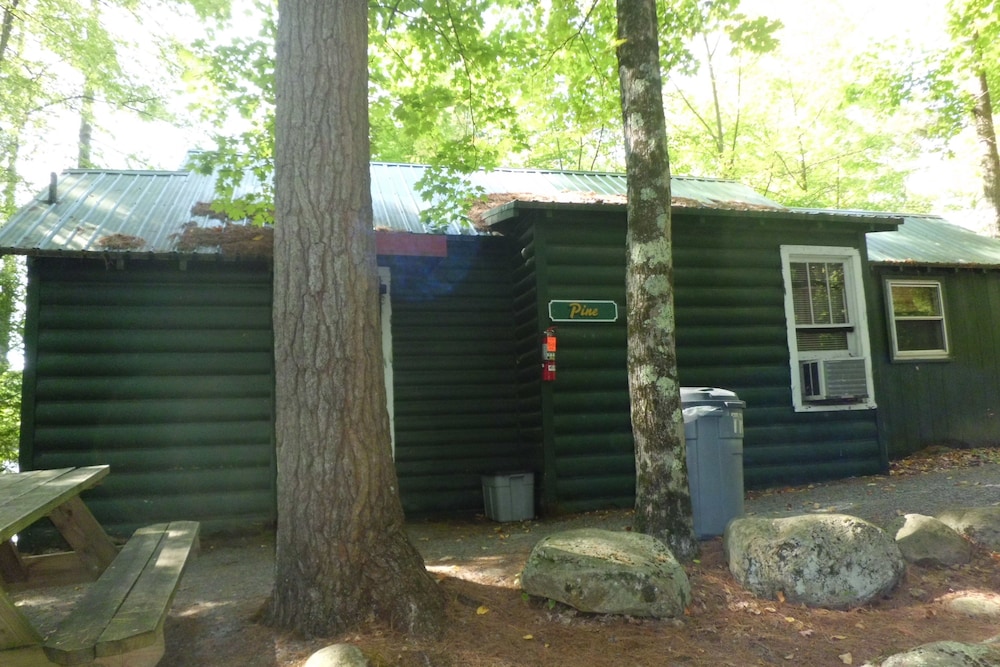 Pine - Guestroom