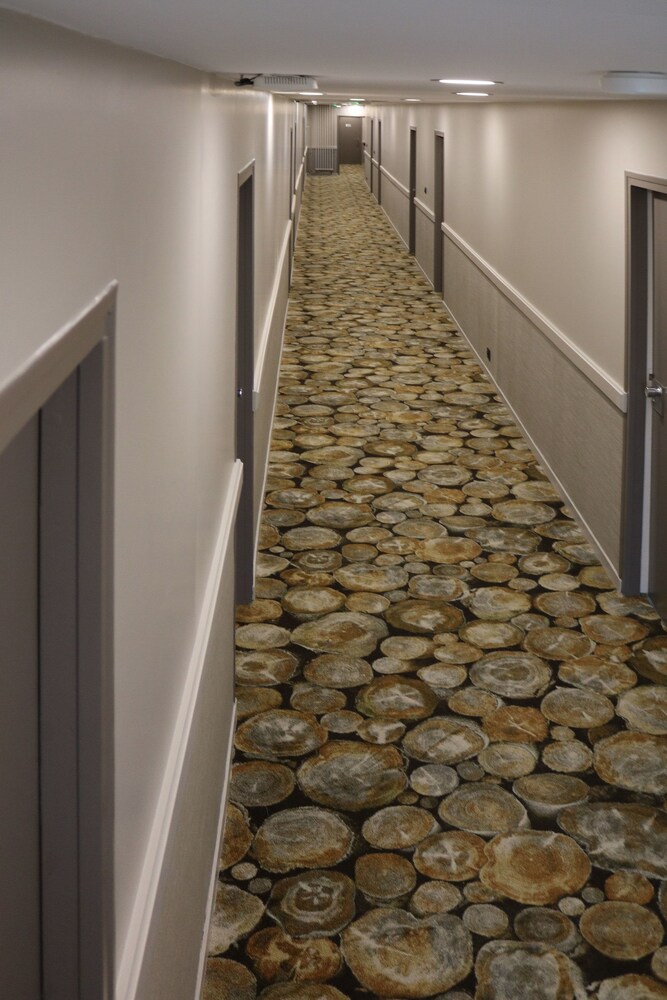Hotel Interior