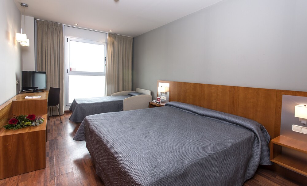 Standard Double or Twin Room - Guestroom