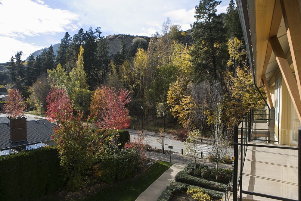 Guestroom View