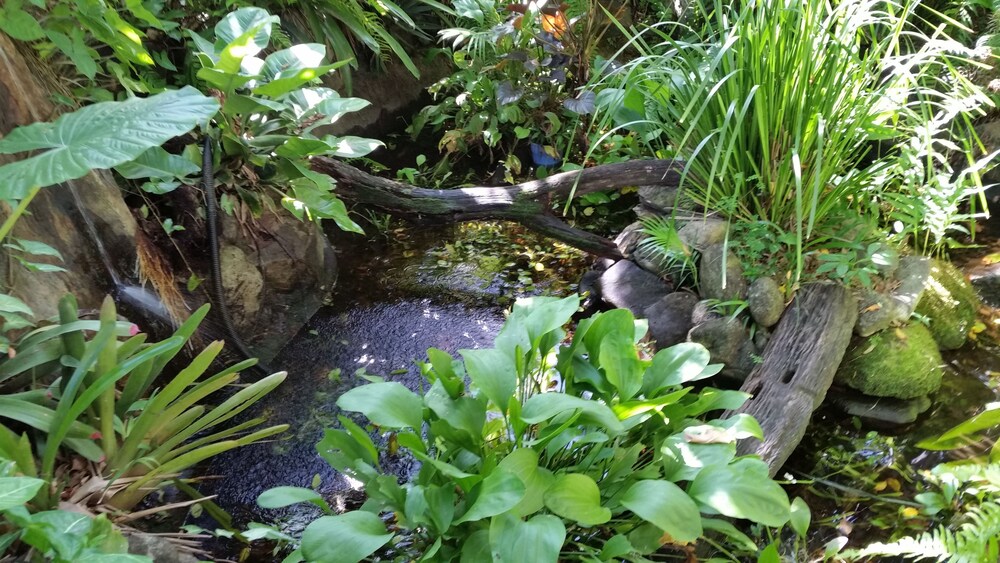 Fountain