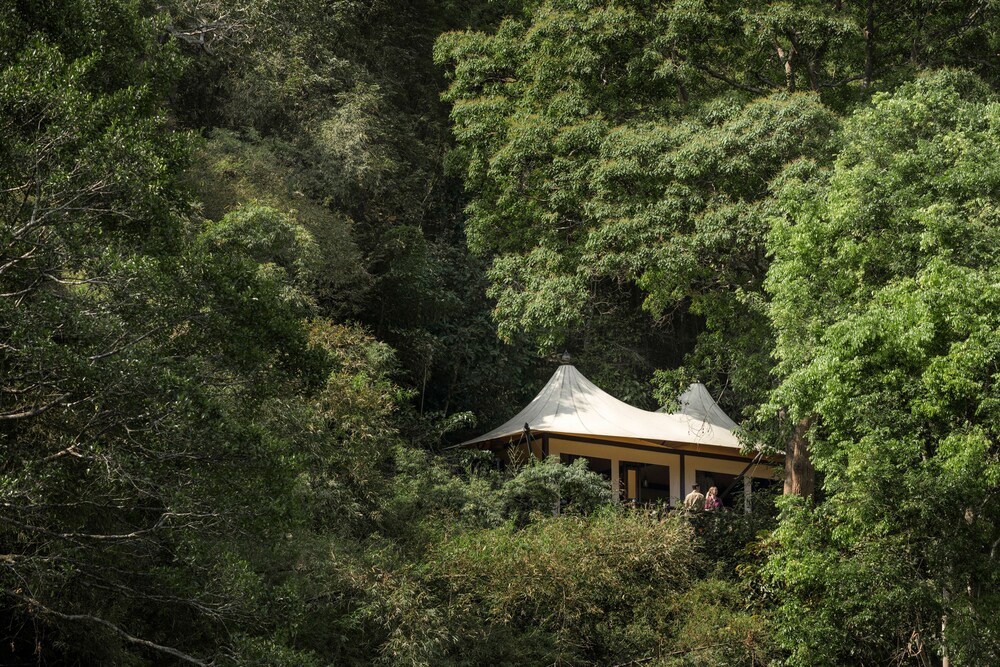 Interior, Four Seasons Tented Camp Golden Triangle