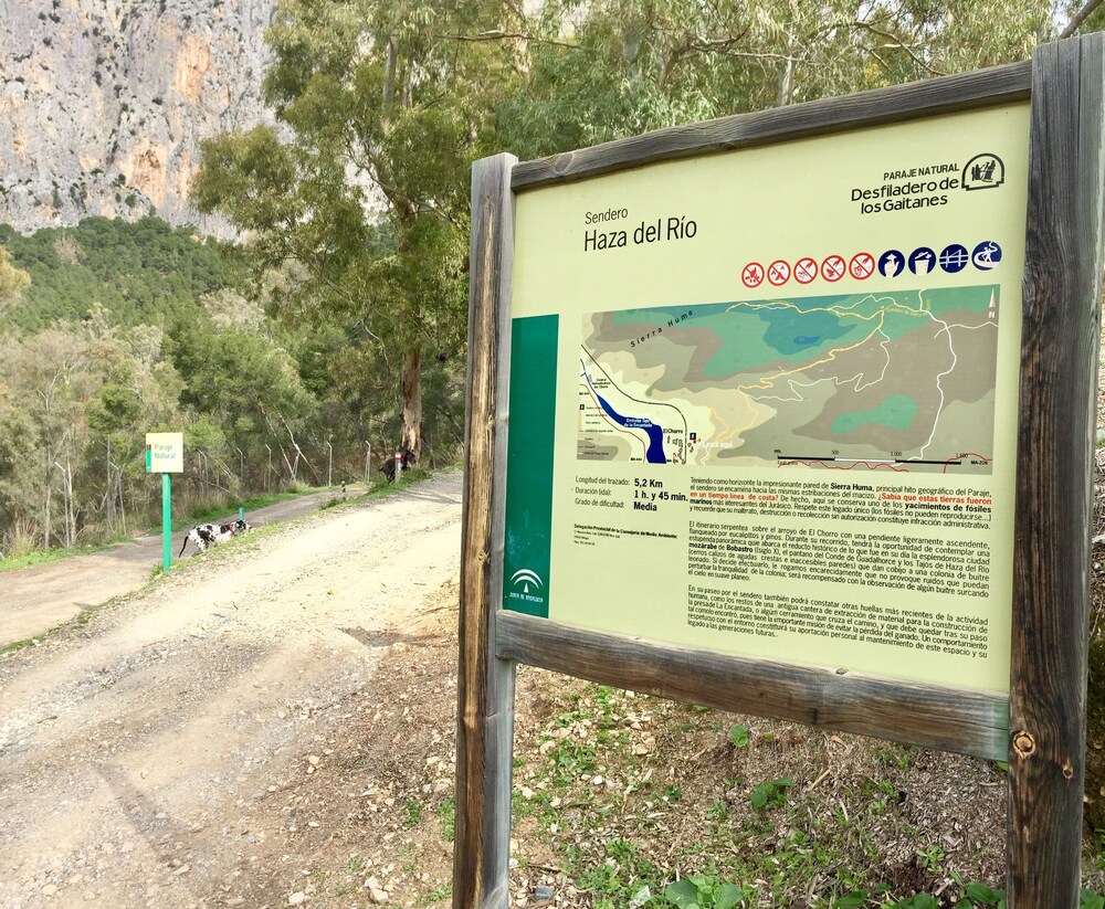 Hiking