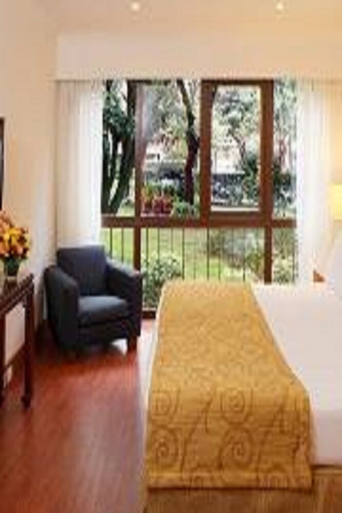 Executive Apartment - Guestroom