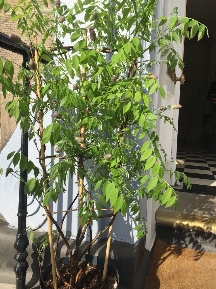 외관 세부 사진