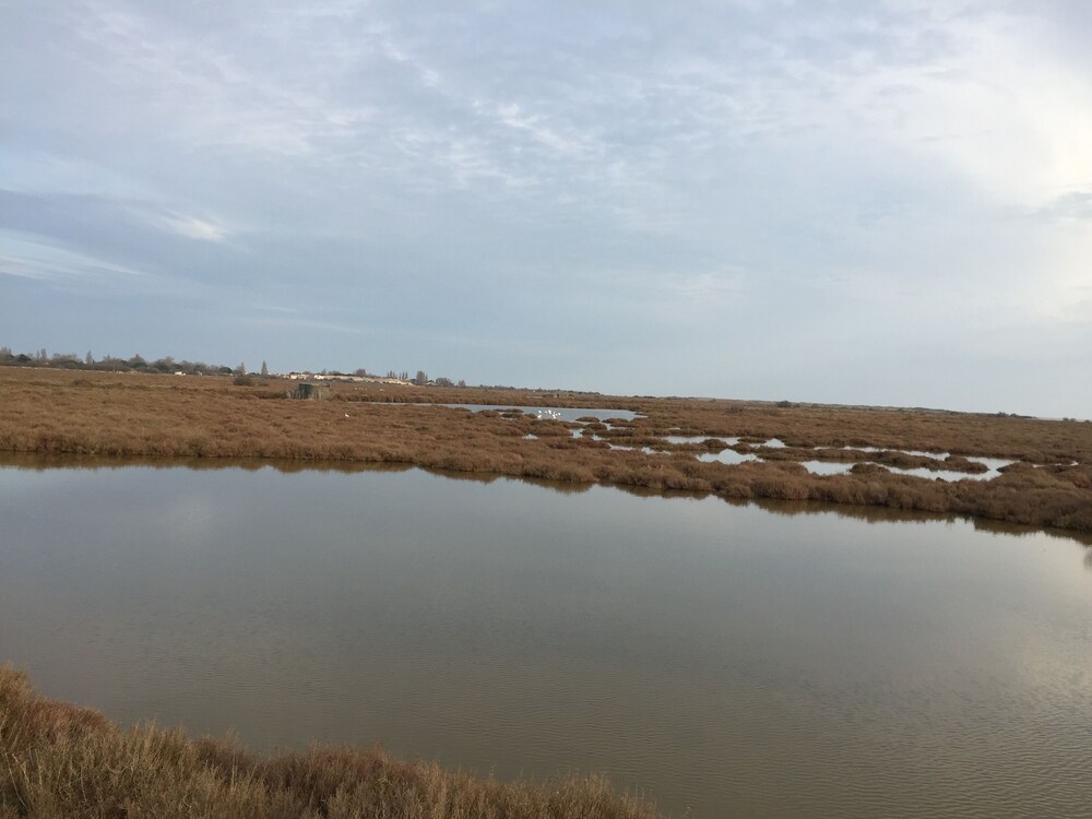 해변/바다 전망