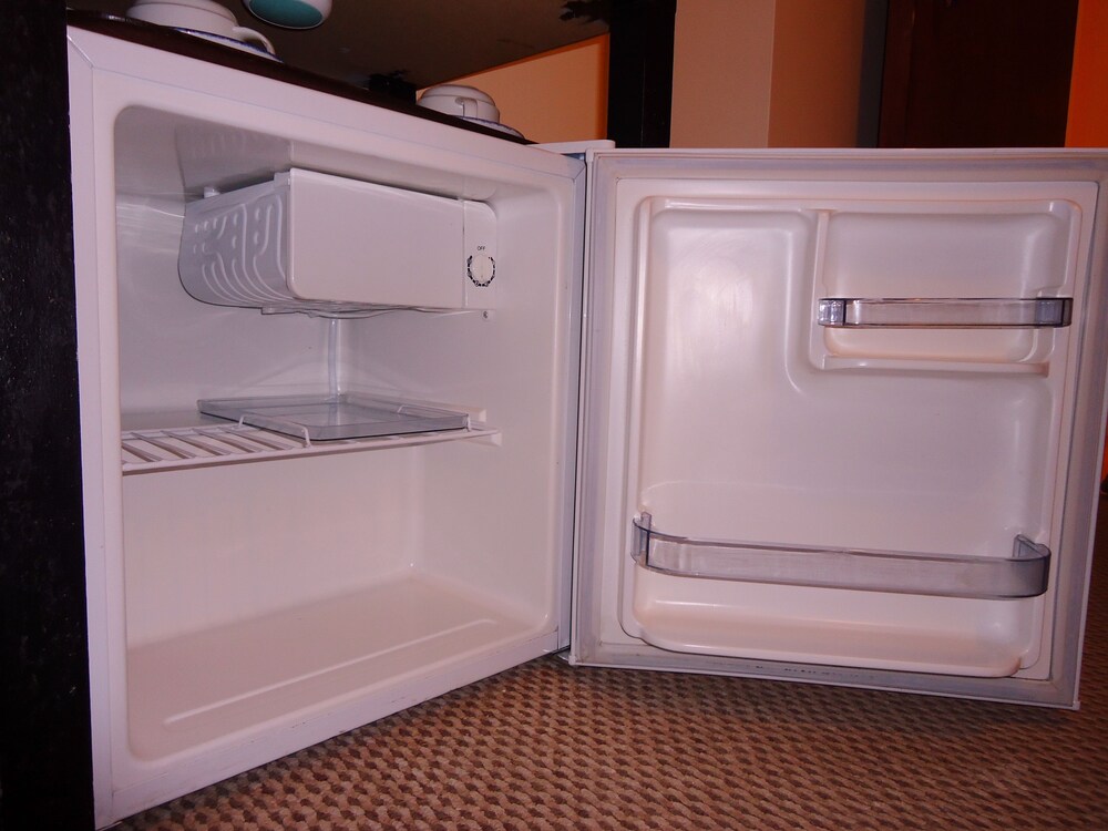 Mini-Refrigerator