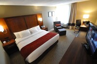 Room, 1 King Bed, Accessible, Non Smoking (2 Person Sofa Bed)