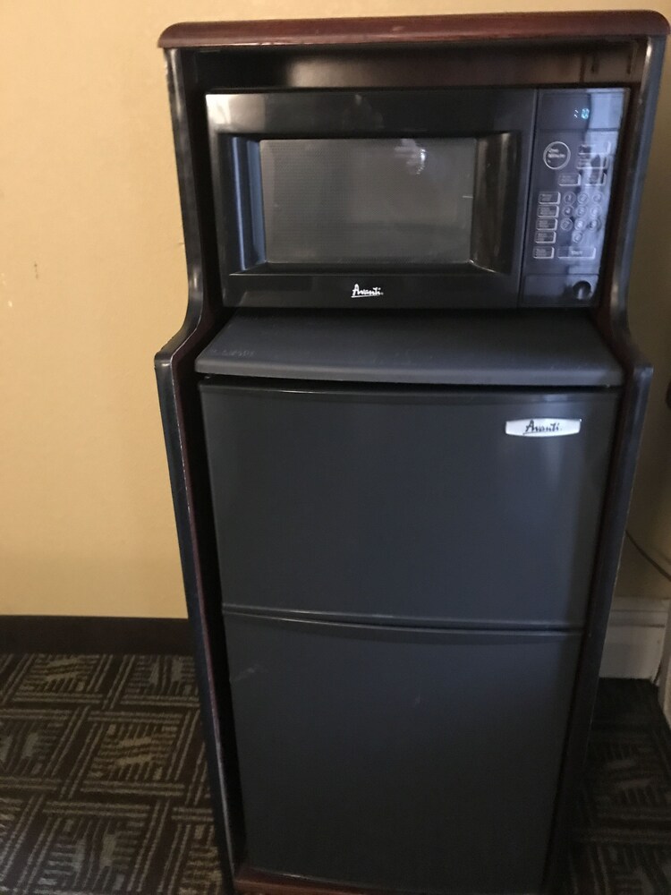 Mini-Refrigerator