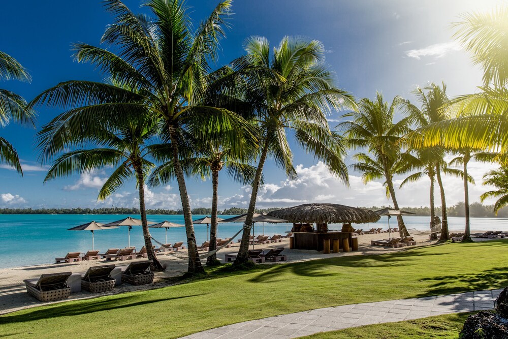 Beach/Ocean View