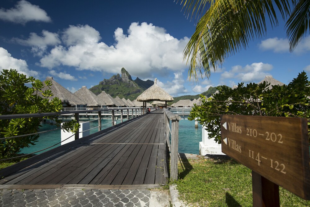Dock
