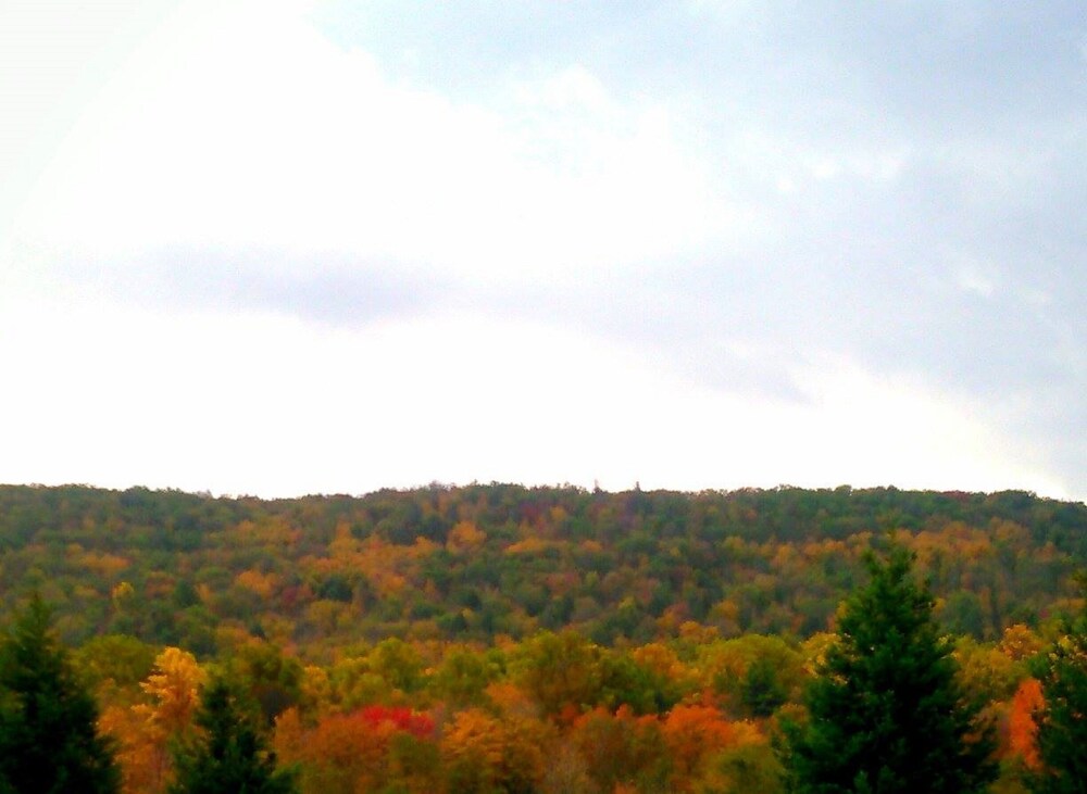 View from Hotel