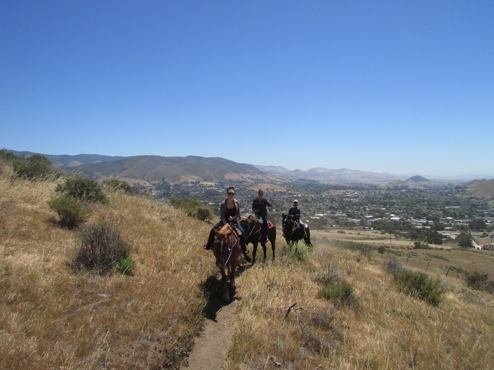 Horse Riding