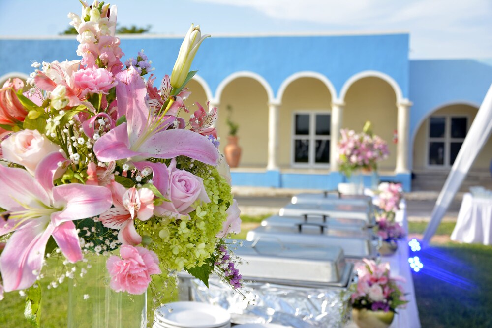 Outdoor Wedding Area