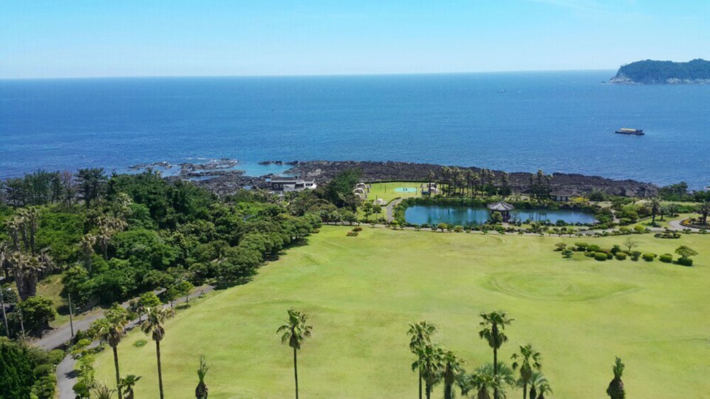 Beach/Ocean View