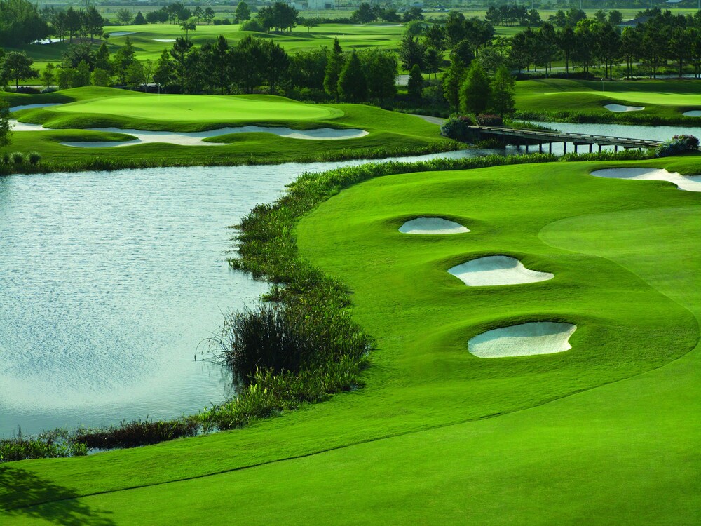 Property amenity, Rosen Shingle Creek