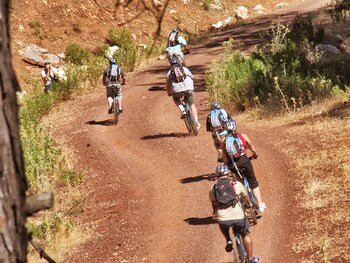 Bicycling
