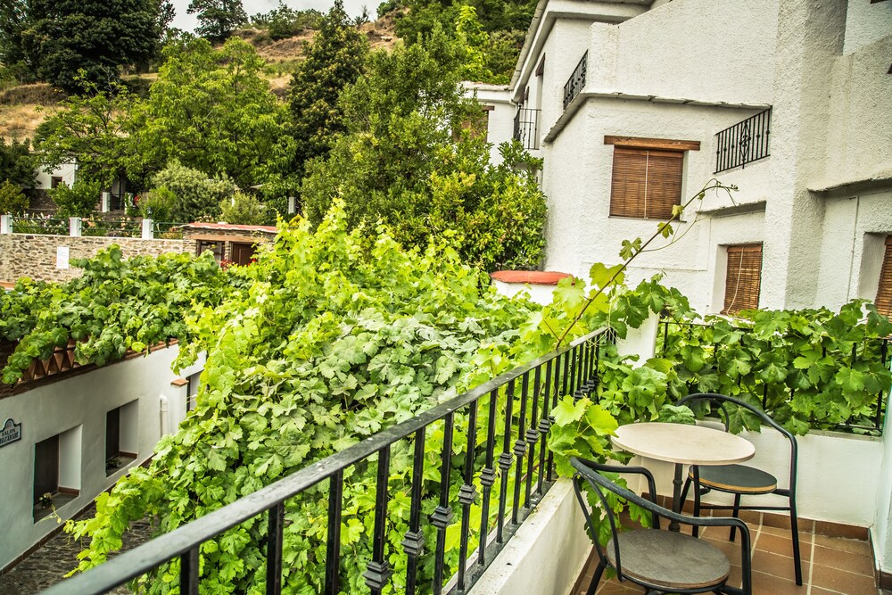 Courtyard View