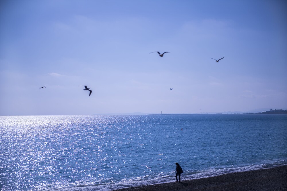 Uitzicht op strand/zee