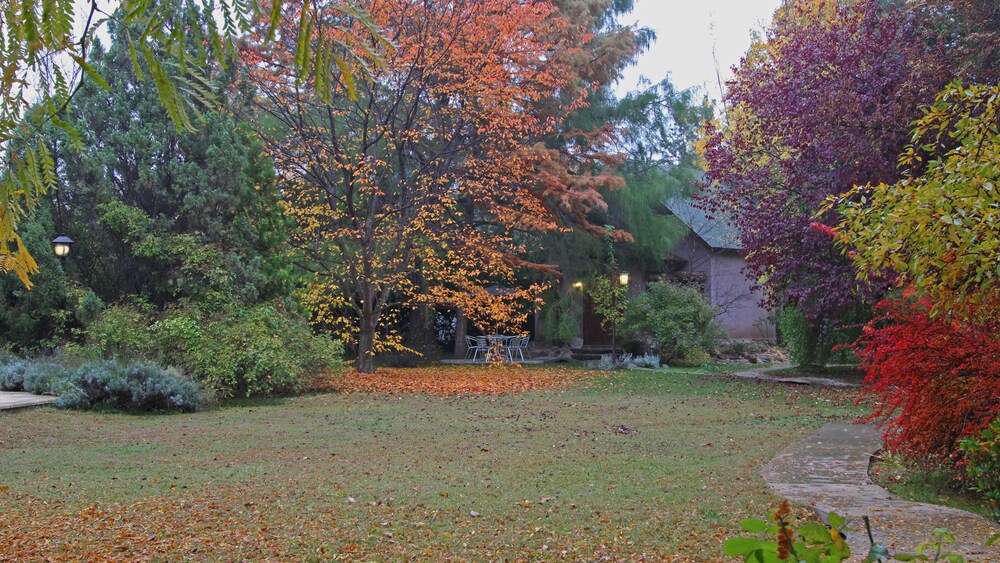 Jardín
