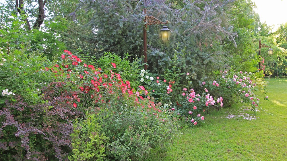 Jardín