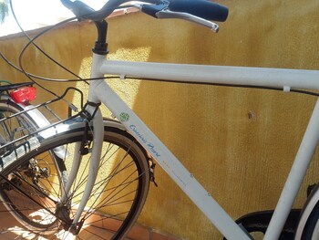 Bicycling