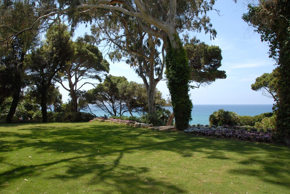 Outdoor Wedding Area