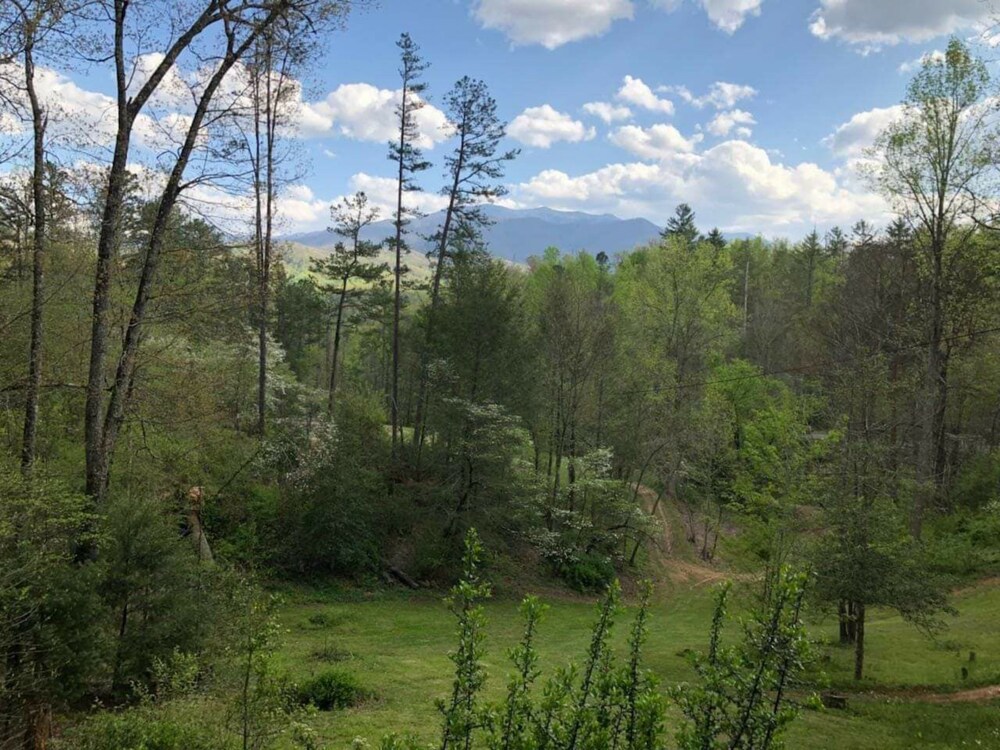 Guestroom View
