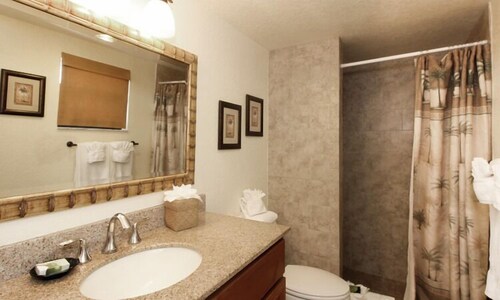 1 Bedroom King or Queen Standard View - Bathroom